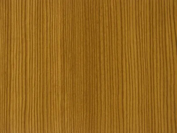 23 - Borovice horská