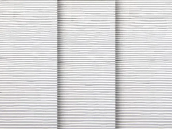 Borneo 101 (Průhledná) - bílá