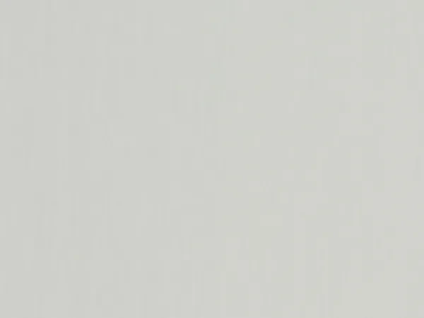 Carina 4934 - bleděšedá