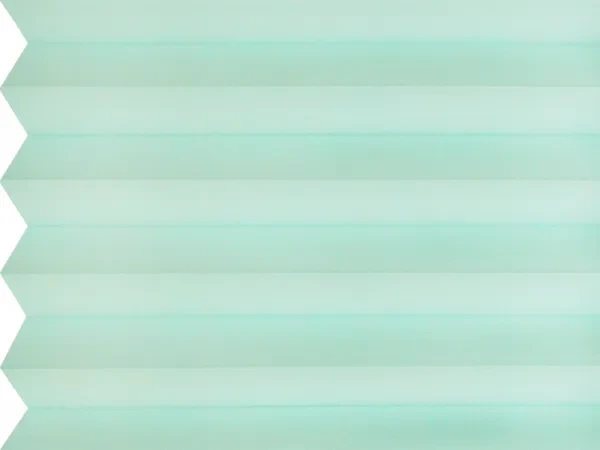 BO 11240 - Cool mint