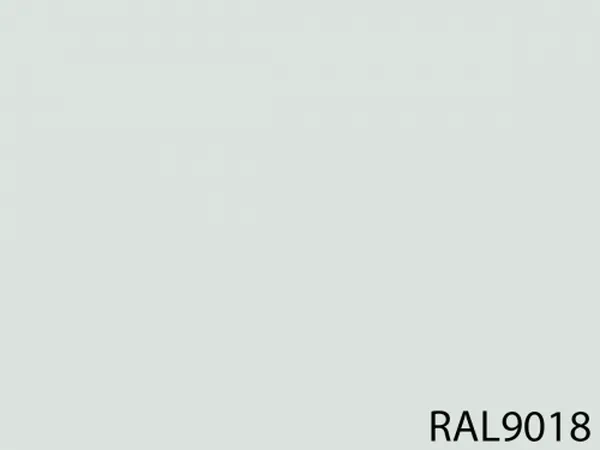RAL 9018