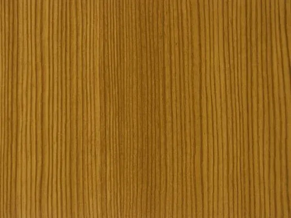 23 - Borovice horská