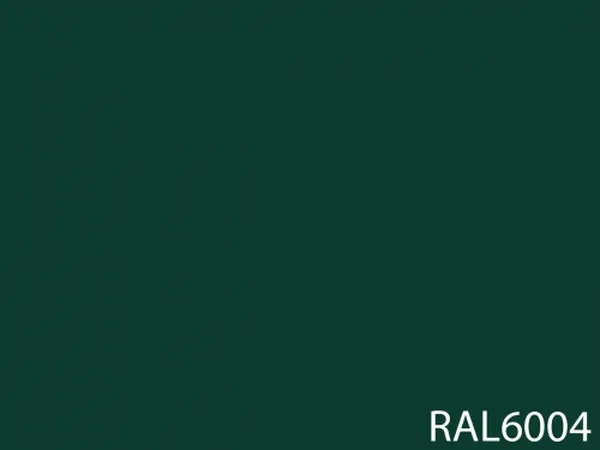 RAL 6004