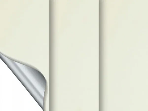 Madagaskar 056 (Thermo) - slonová kost